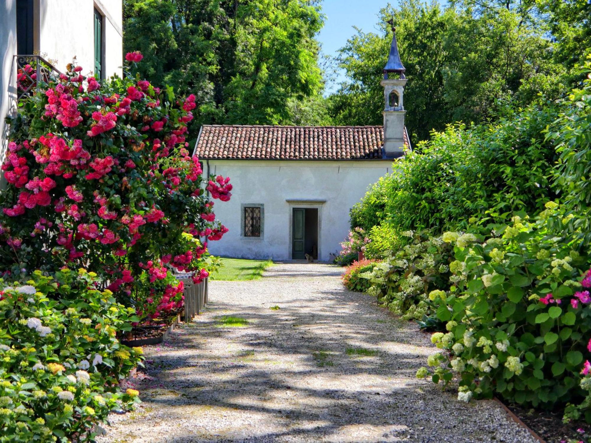 Villa San Liberale - Suites & Wellness - Villa Veneta 费尔特雷 外观 照片