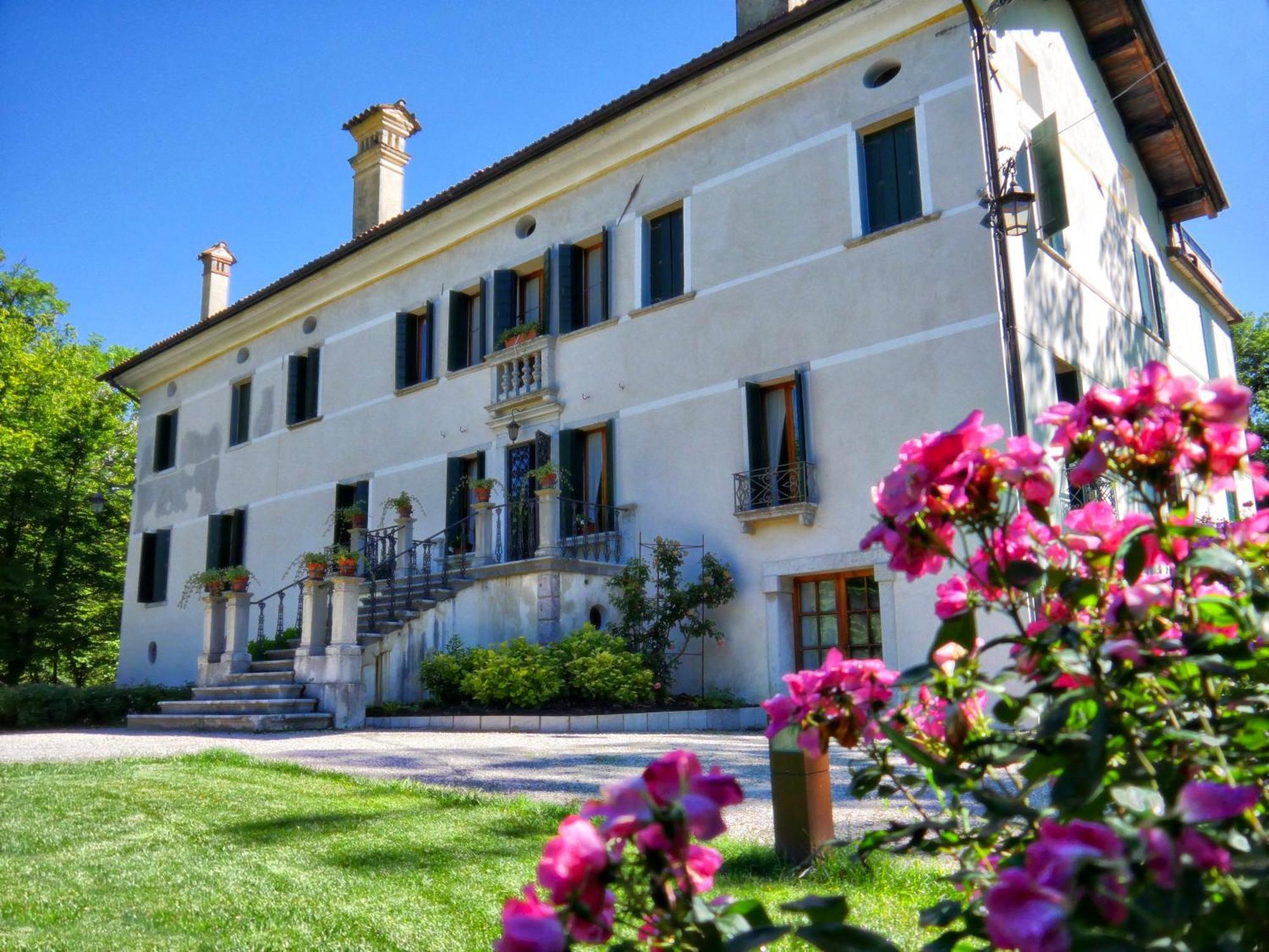 Villa San Liberale - Suites & Wellness - Villa Veneta 费尔特雷 外观 照片