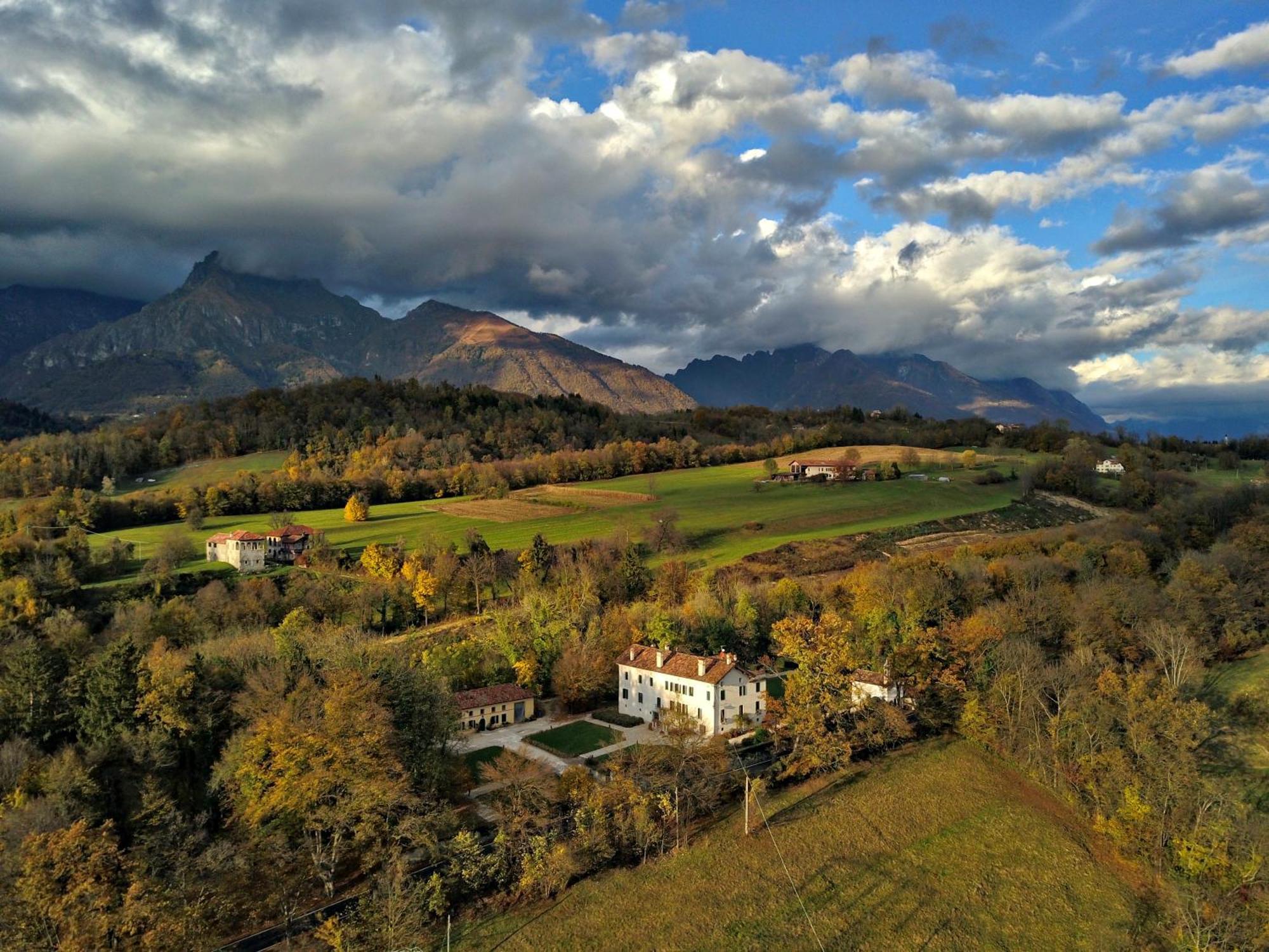 Villa San Liberale - Suites & Wellness - Villa Veneta 费尔特雷 外观 照片