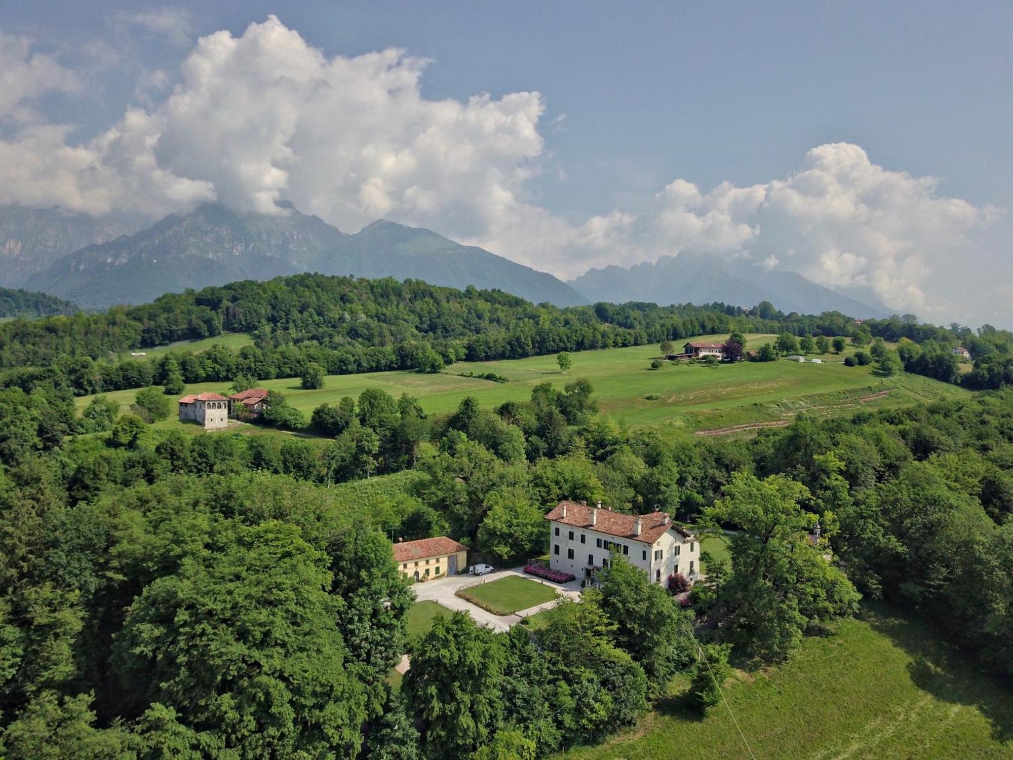 Villa San Liberale - Suites & Wellness - Villa Veneta 费尔特雷 外观 照片